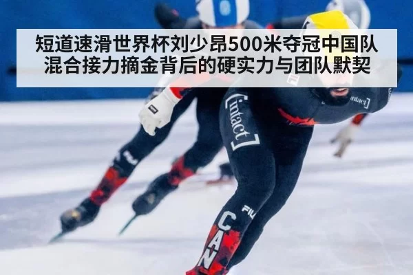 短道速滑世界杯刘少昂500米夺冠中国队混合接力摘金背后的硬实力与团队默契