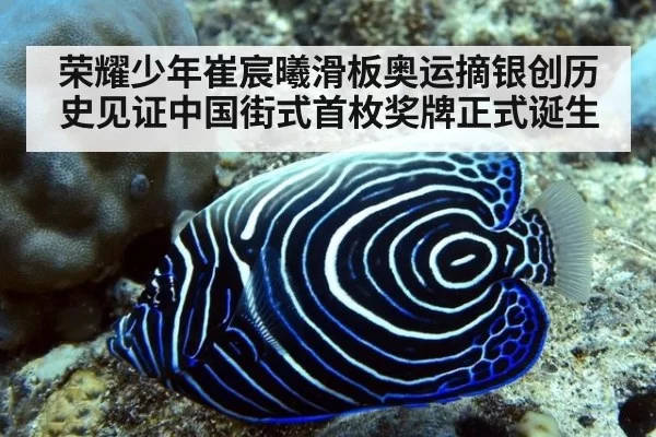 荣耀少年崔宸曦滑板奥运摘银创历史见证中国街式首枚奖牌正式诞生