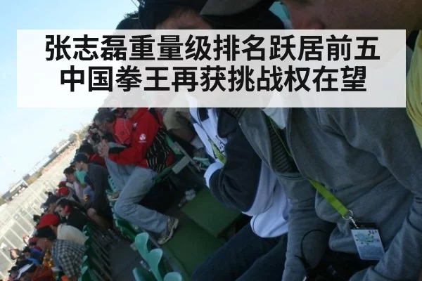 张志磊重量级排名跃居前五 中国拳王再获挑战权在望